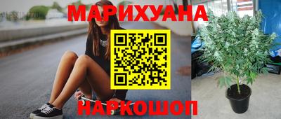 прущие грибы Малгобек