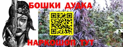 прущие грибы Малгобек