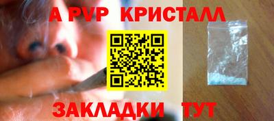 прущие грибы Малгобек