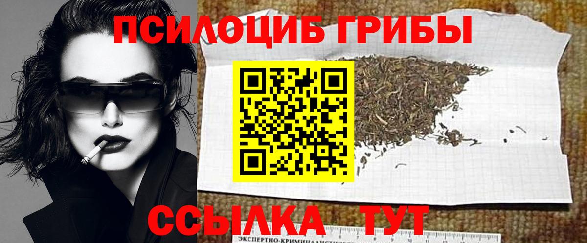 Реж  Псилоцибиновые грибы MAGIC MUSHROOMS  Вход с VPN 